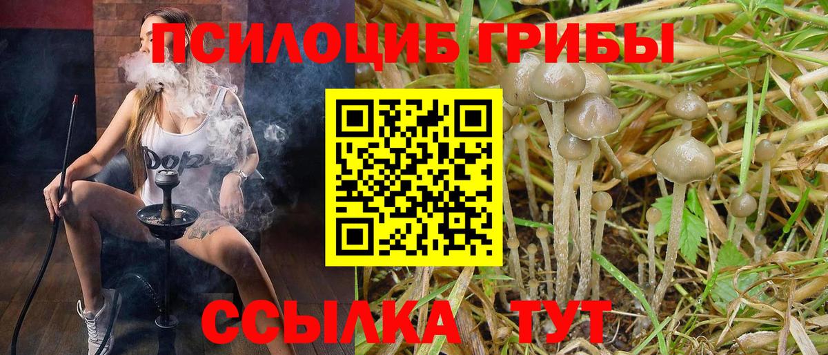 Галлюциногенные грибы Magic Shrooms  Псилоцибиновые грибы GOLDEN TEACHER  Ртищево  Вход с VPN 