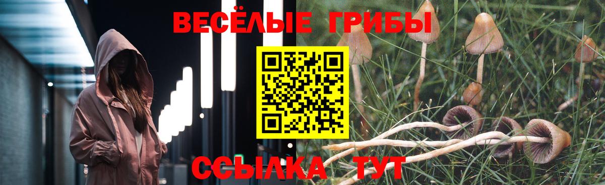 Галлюциногенные грибы Magic Shrooms Ртищево